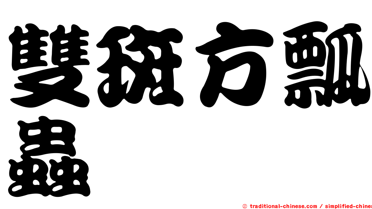 雙斑方瓢蟲