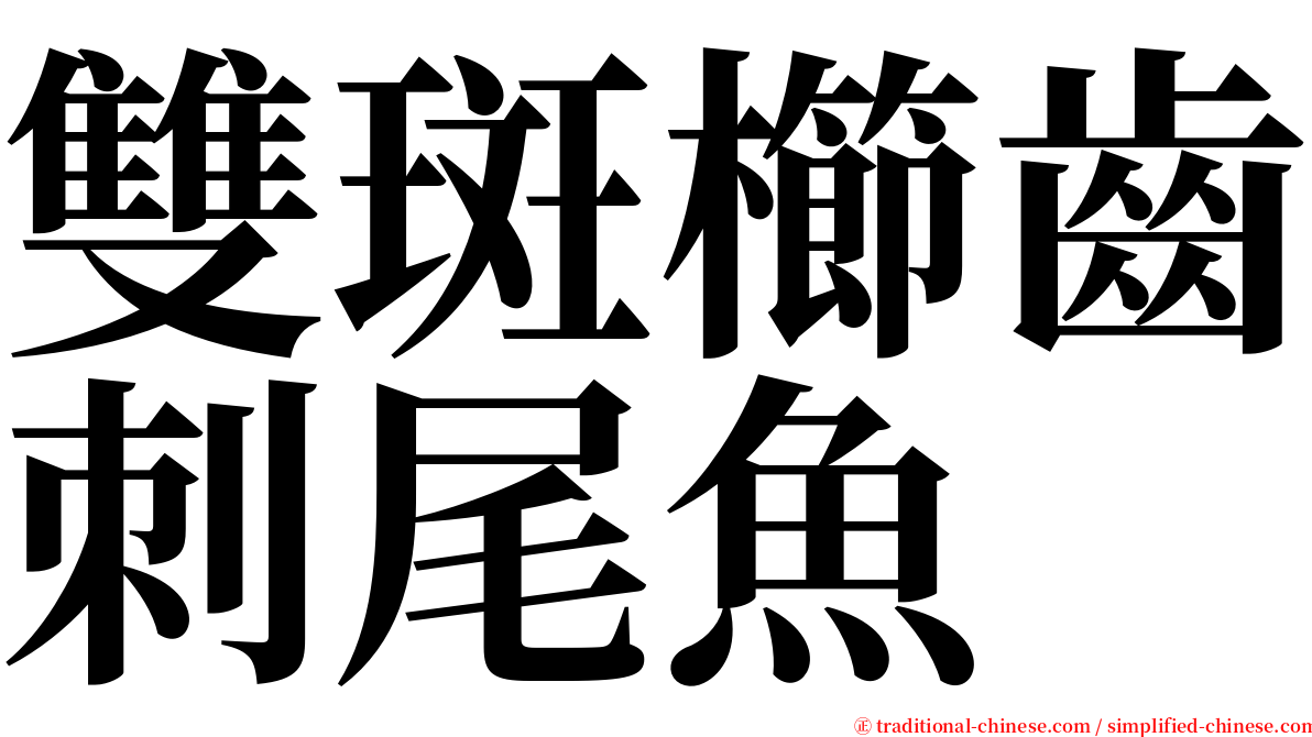 雙斑櫛齒刺尾魚 serif font