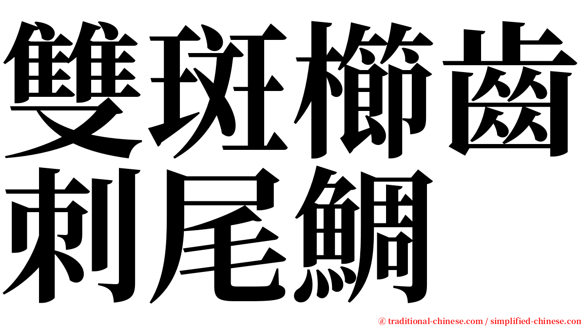 雙斑櫛齒刺尾鯛 serif font