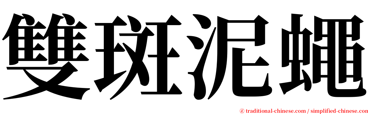 雙斑泥蠅 serif font