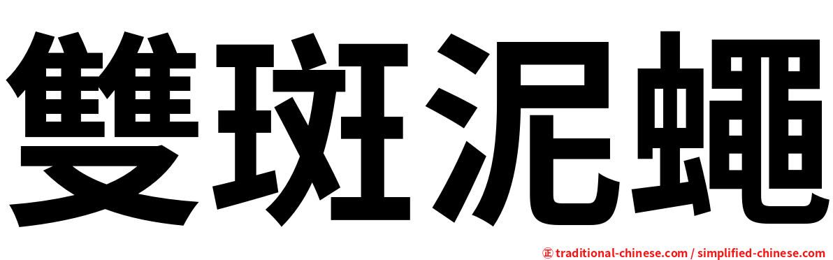 雙斑泥蠅