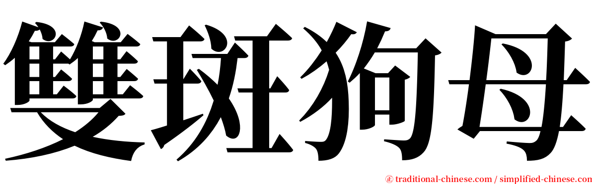 雙斑狗母 serif font