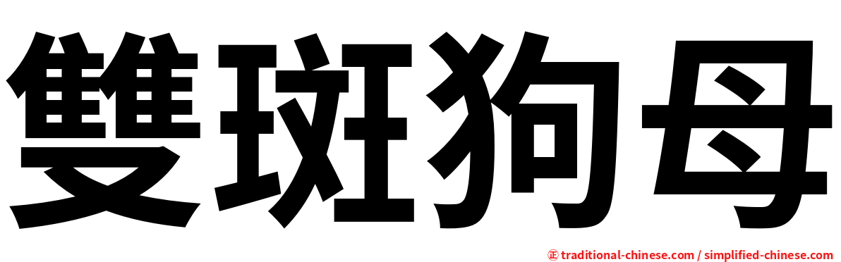 雙斑狗母