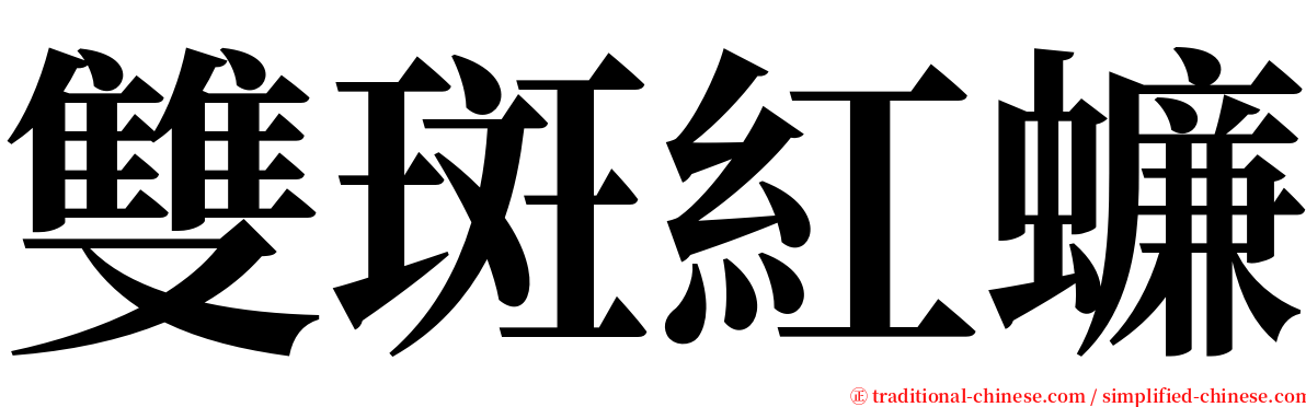 雙斑紅蠊 serif font