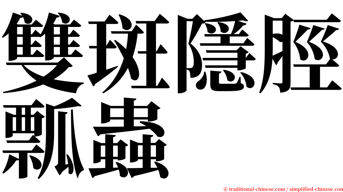 雙斑隱脛瓢蟲 serif font