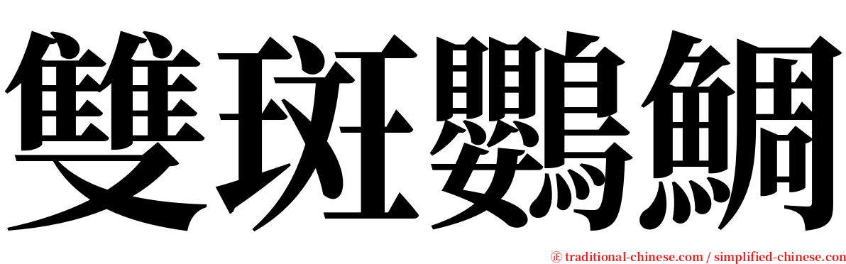 雙斑鸚鯛 serif font