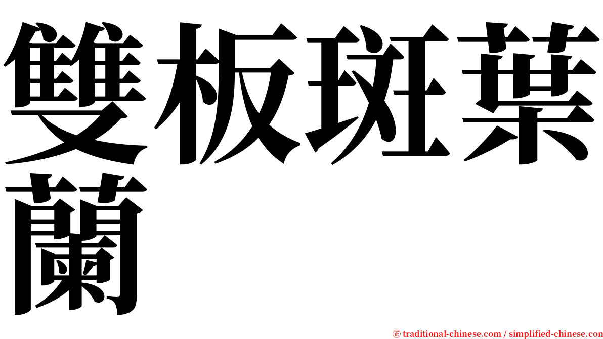 雙板斑葉蘭 serif font