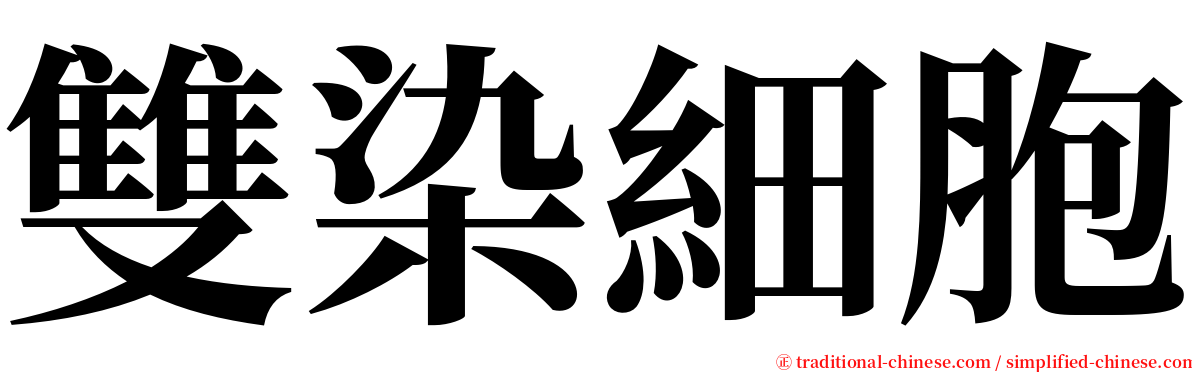 雙染細胞 serif font