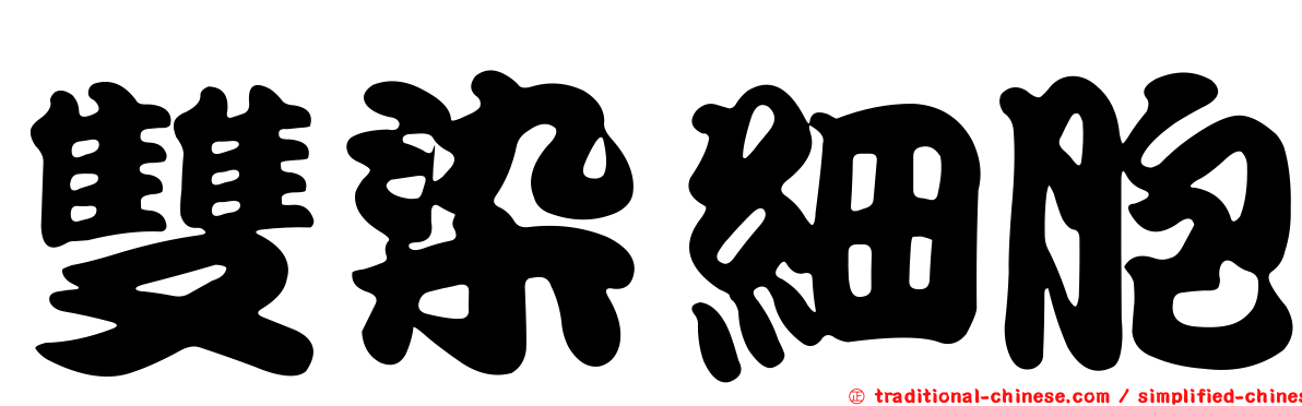 雙染細胞