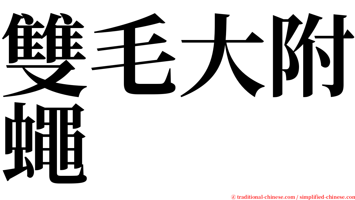 雙毛大附蠅 serif font