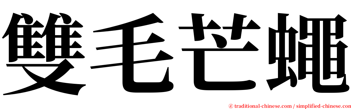 雙毛芒蠅 serif font