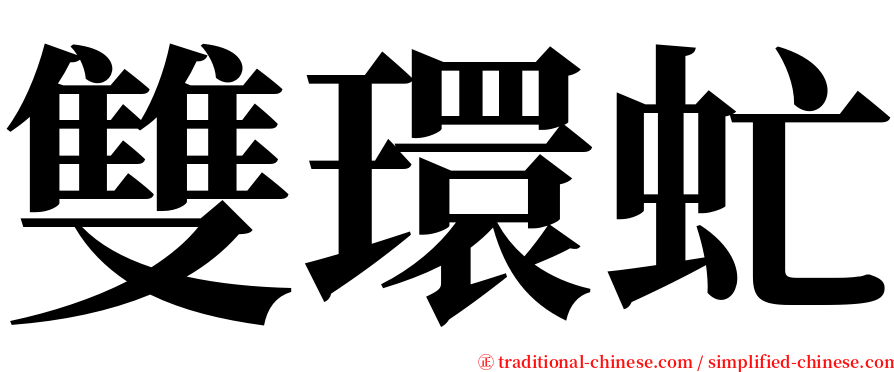 雙環虻 serif font