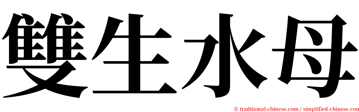 雙生水母 serif font