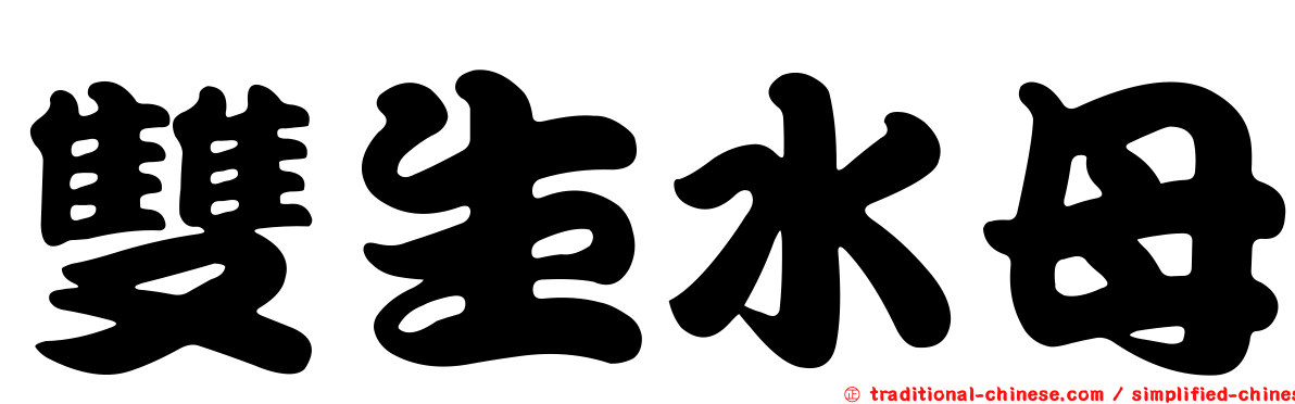 雙生水母