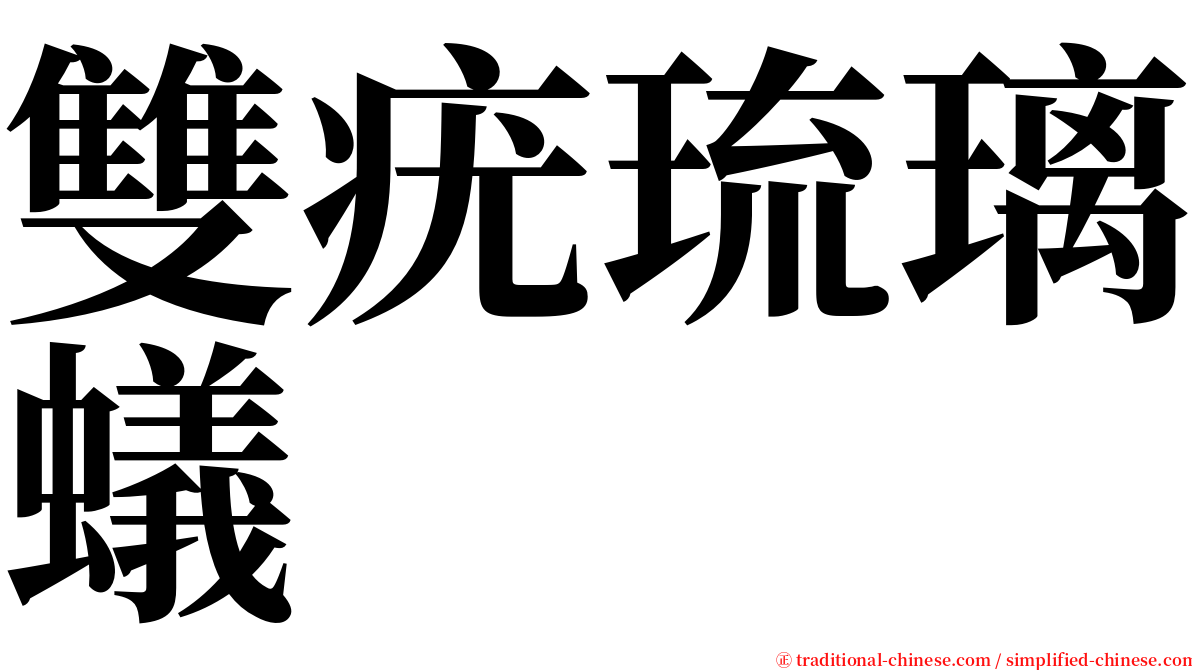 雙疣琉璃蟻 serif font