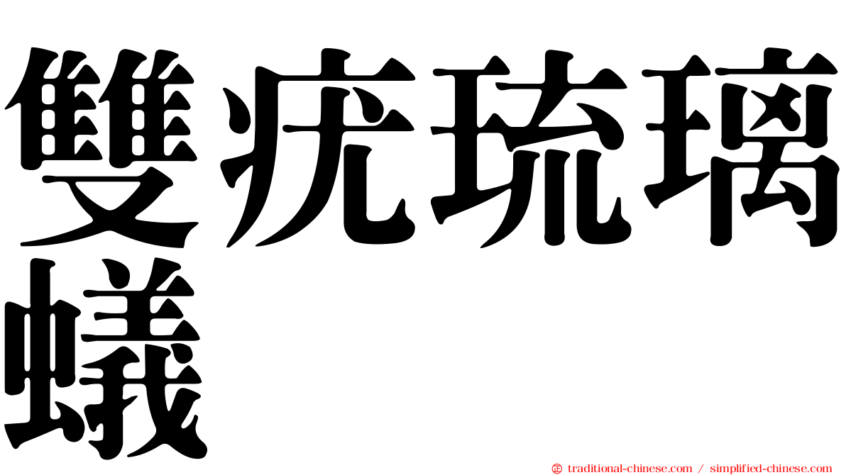 雙疣琉璃蟻