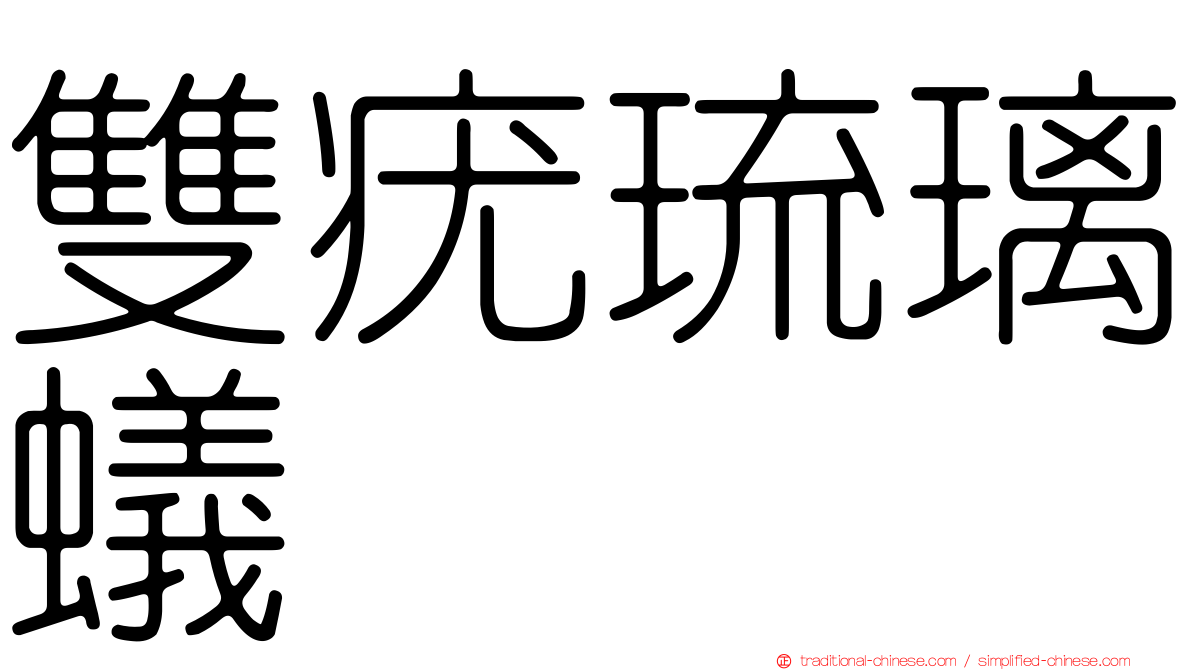 雙疣琉璃蟻