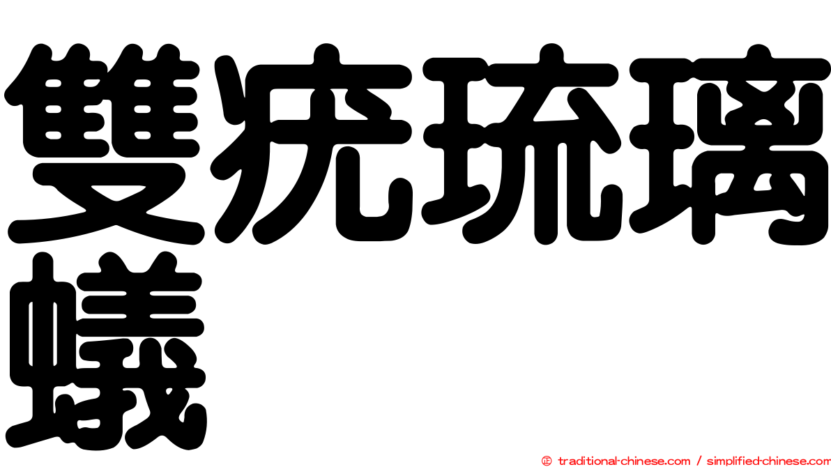 雙疣琉璃蟻
