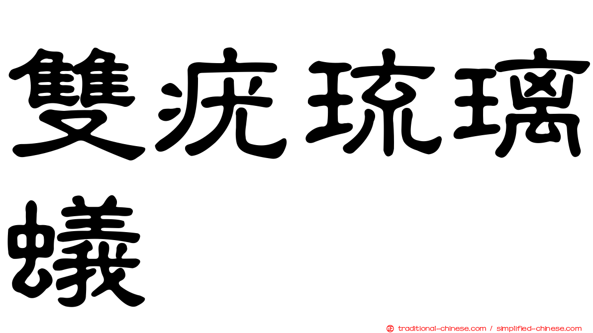 雙疣琉璃蟻