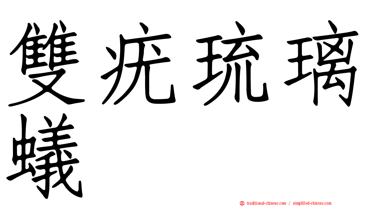 雙疣琉璃蟻