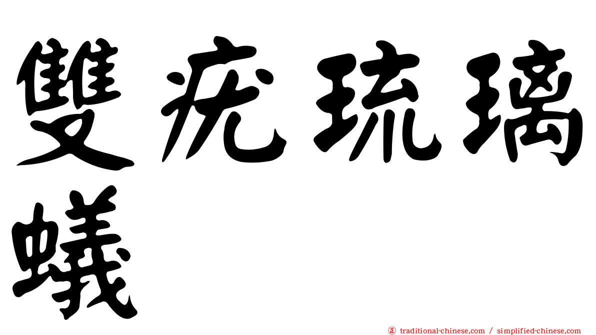 雙疣琉璃蟻