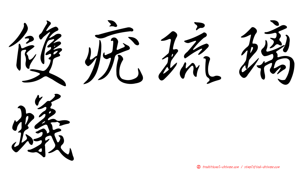雙疣琉璃蟻