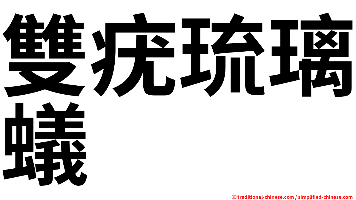 雙疣琉璃蟻