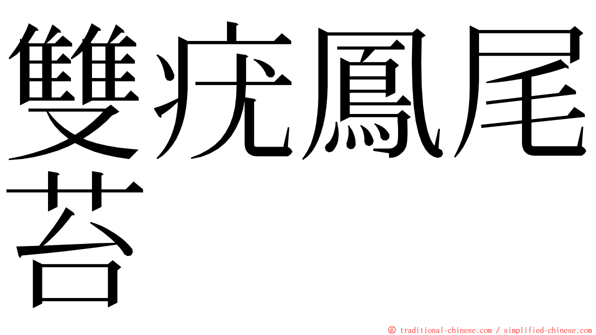 雙疣鳳尾苔 ming font