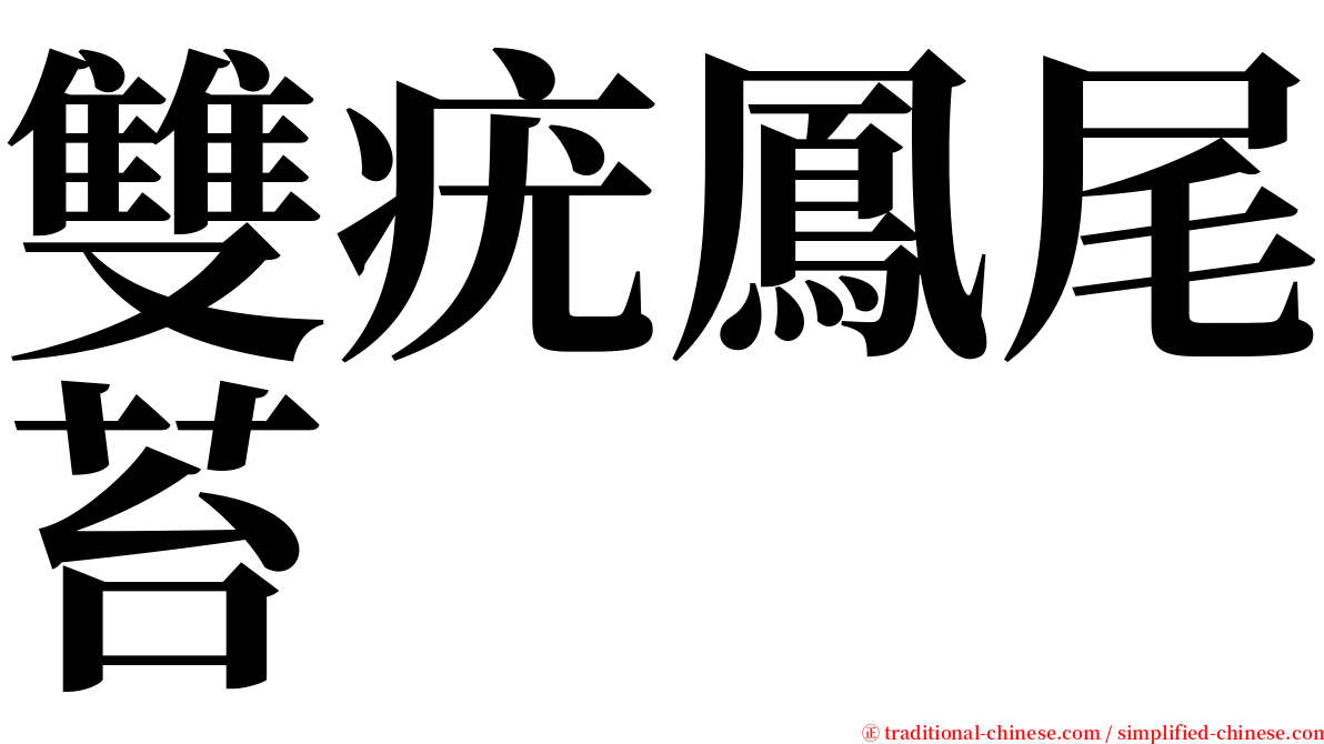 雙疣鳳尾苔 serif font