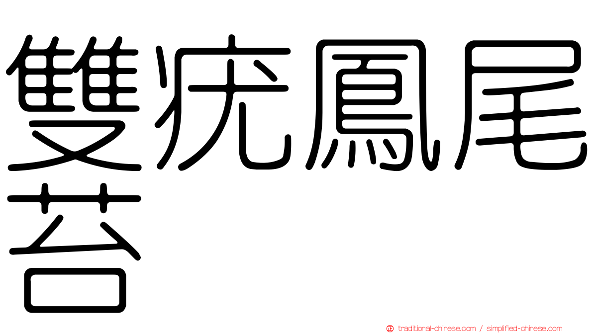 雙疣鳳尾苔