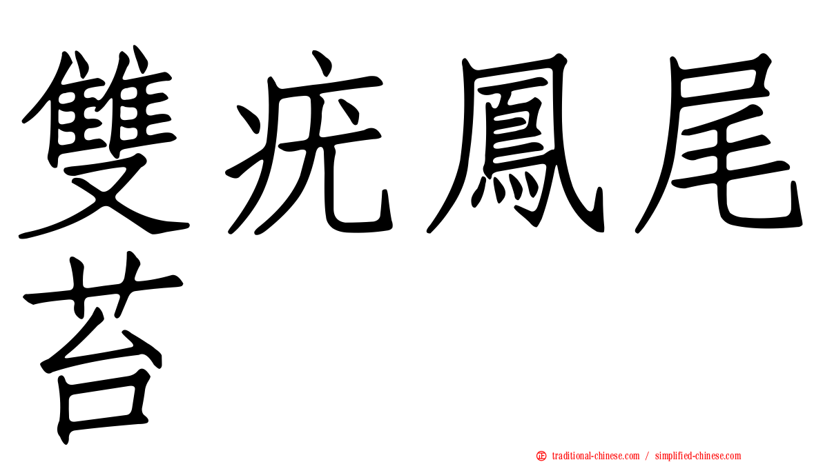 雙疣鳳尾苔