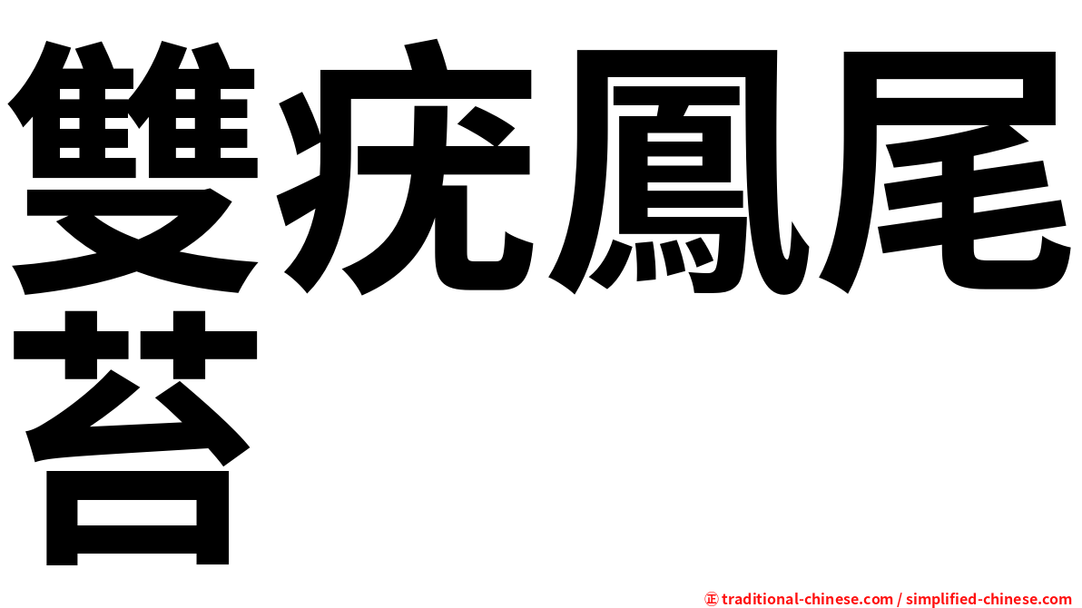 雙疣鳳尾苔