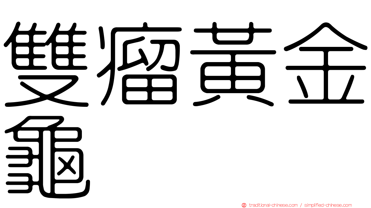 雙瘤黃金龜