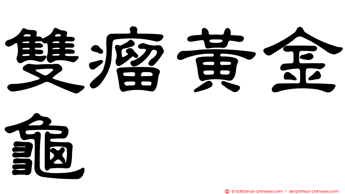 雙瘤黃金龜