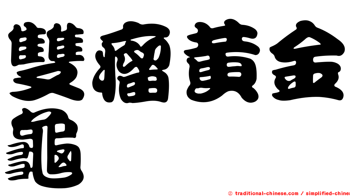 雙瘤黃金龜