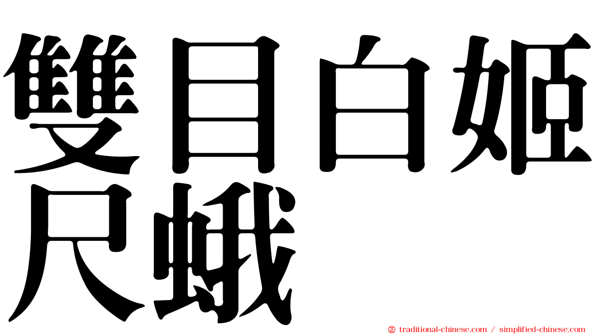 雙目白姬尺蛾