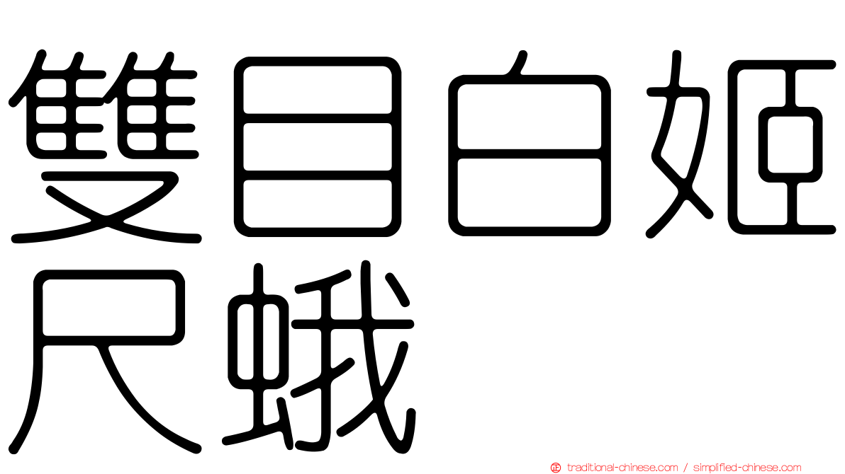 雙目白姬尺蛾
