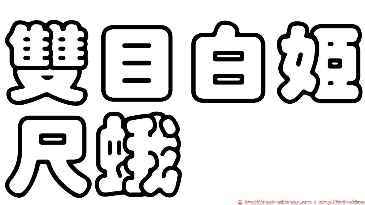 雙目白姬尺蛾