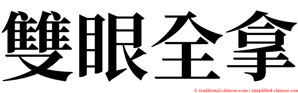 雙眼全拿 serif font