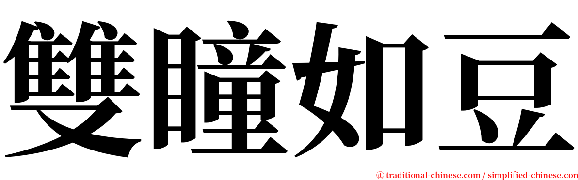 雙瞳如豆 serif font