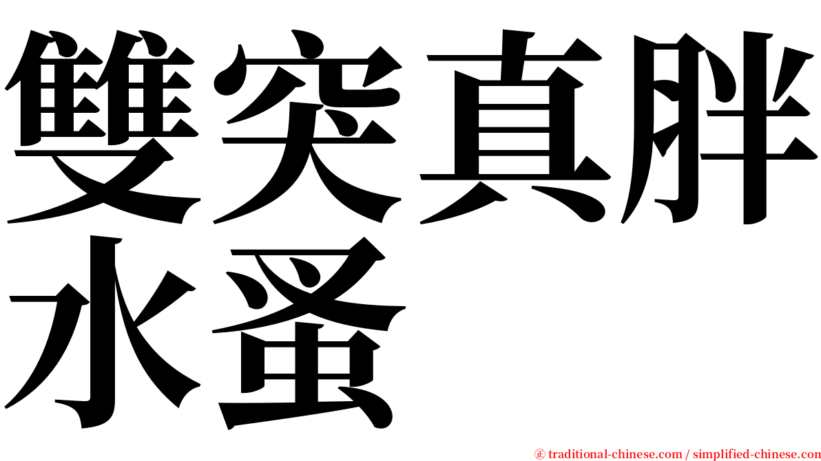 雙突真胖水蚤 serif font