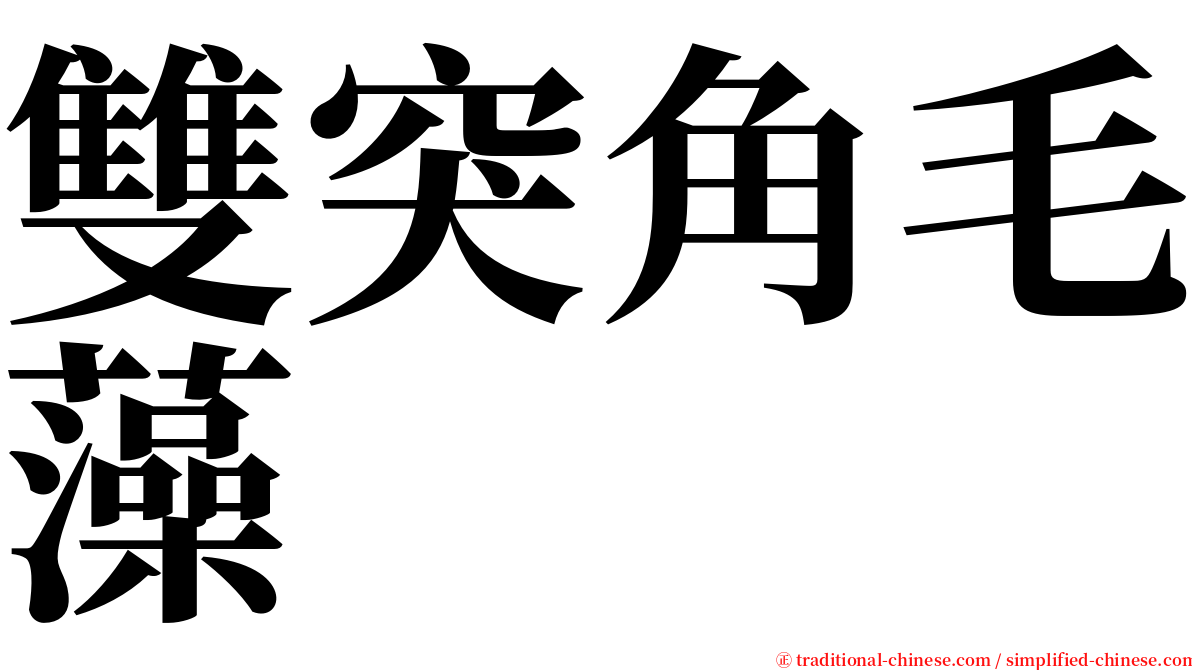 雙突角毛藻 serif font