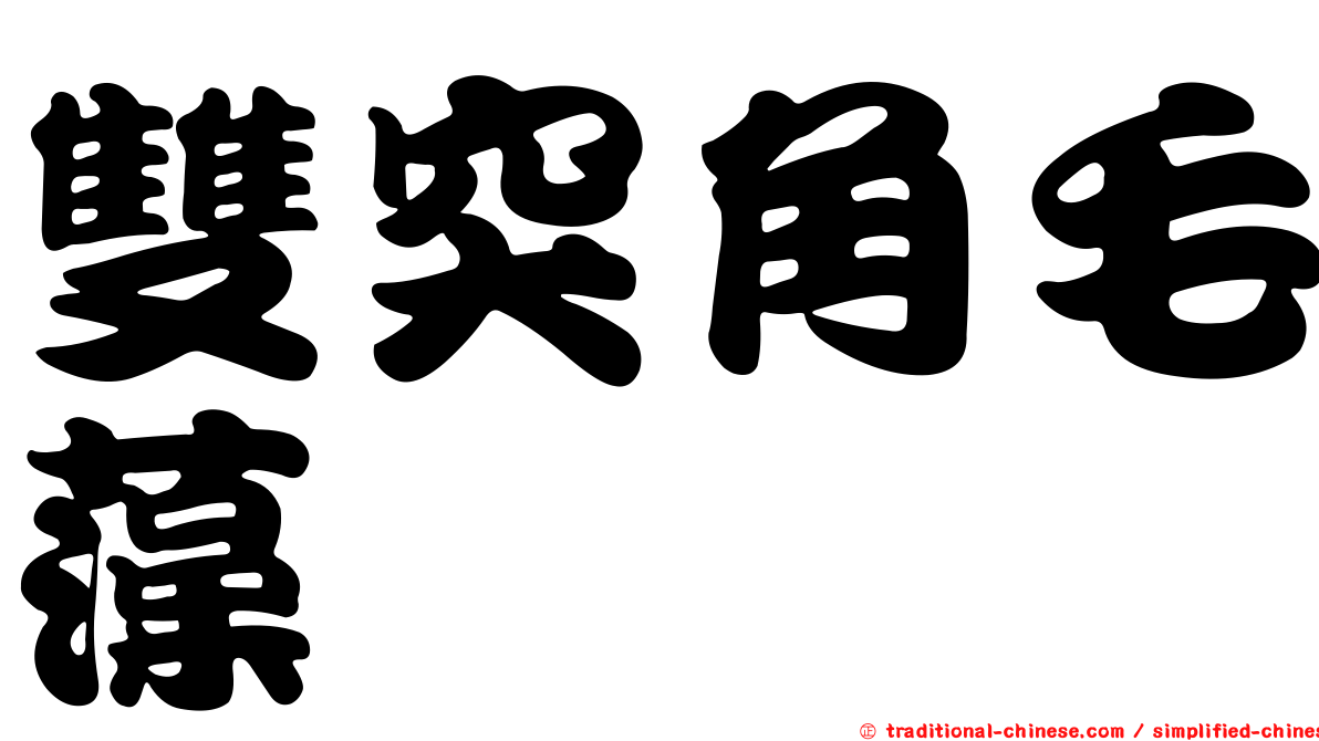 雙突角毛藻
