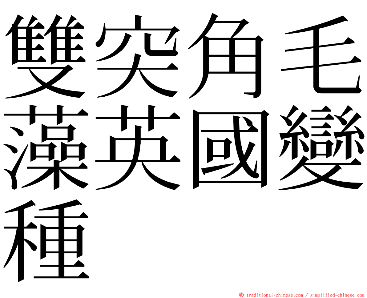 雙突角毛藻英國變種 ming font