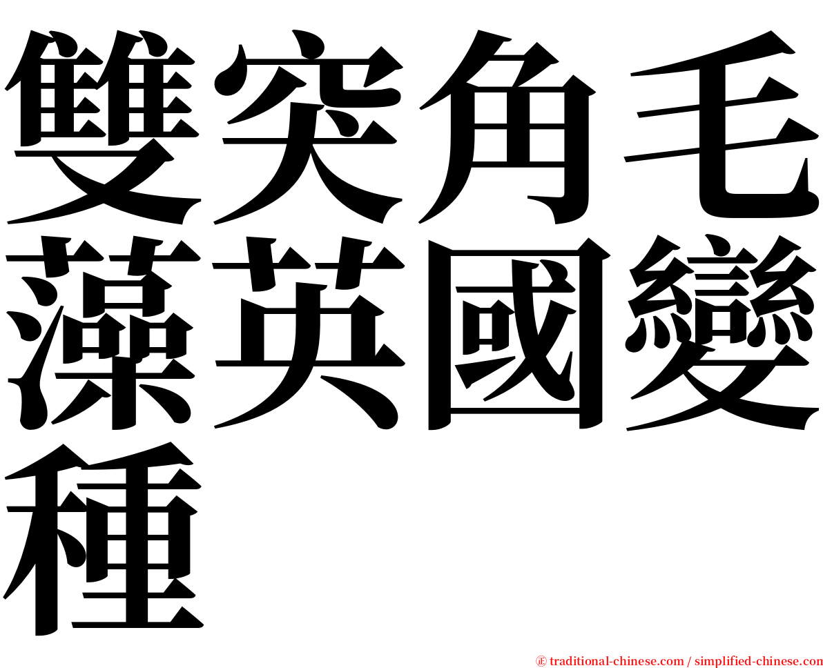 雙突角毛藻英國變種 serif font