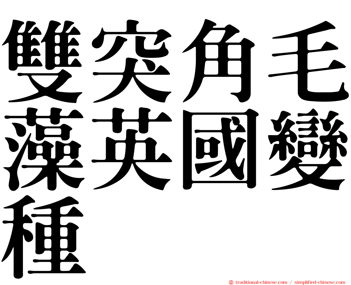 雙突角毛藻英國變種
