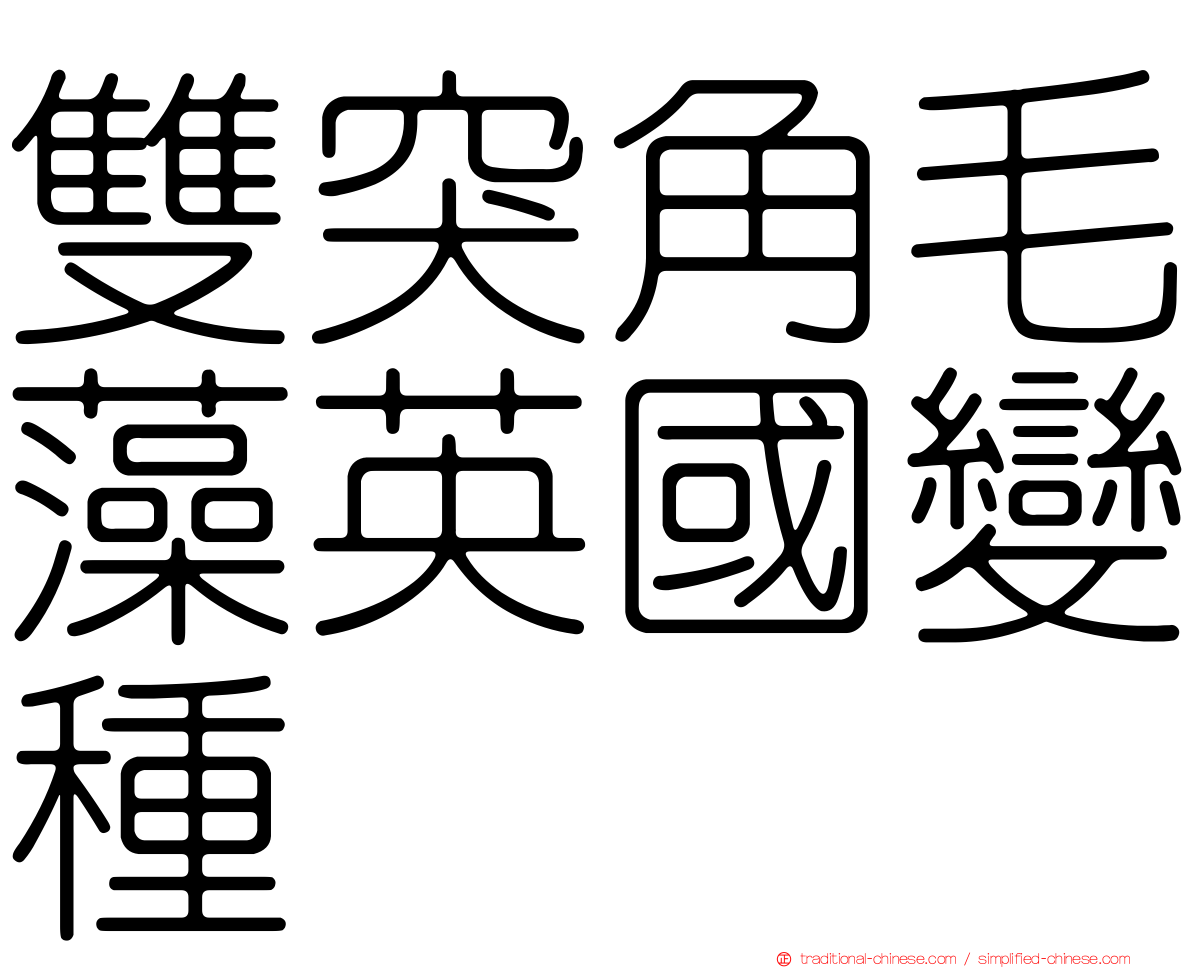 雙突角毛藻英國變種