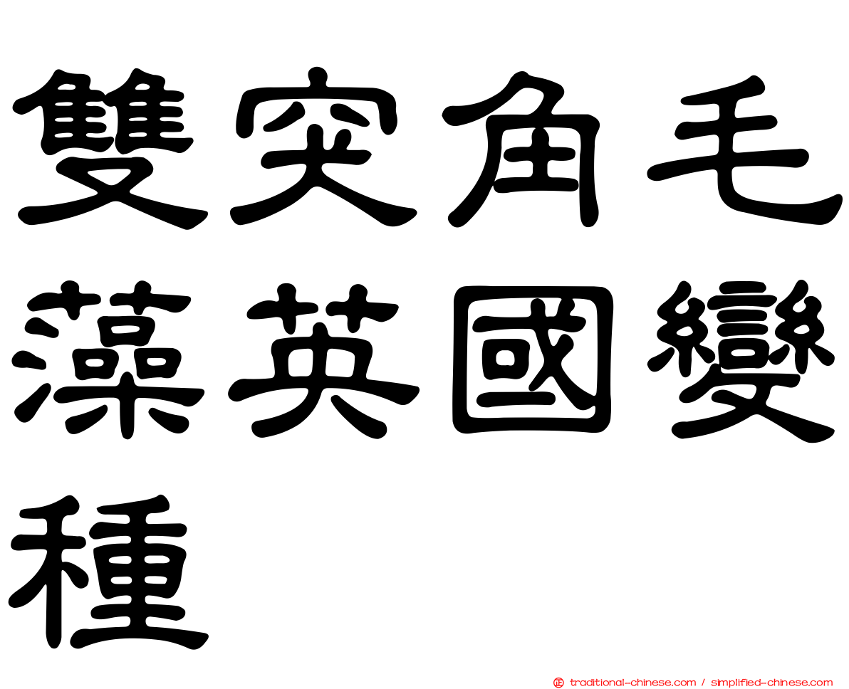 雙突角毛藻英國變種