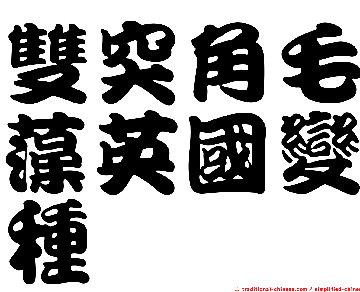 雙突角毛藻英國變種
