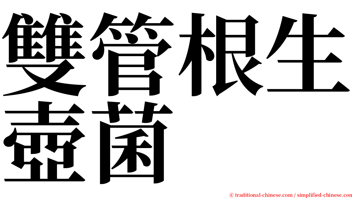 雙管根生壺菌 serif font